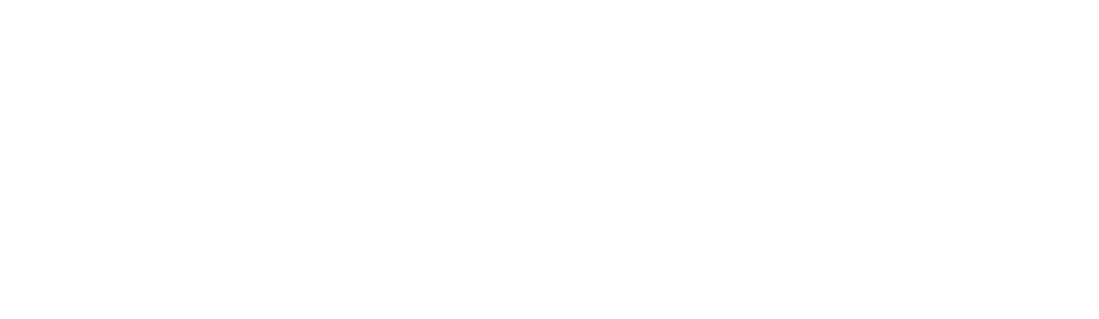 3DMIRACL Logo white